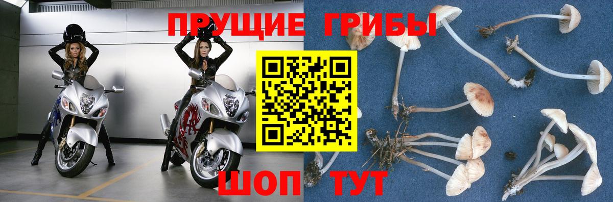 Псилоцибиновые грибы мицелий Ханты-Мансийск